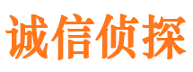 扶余市侦探调查公司